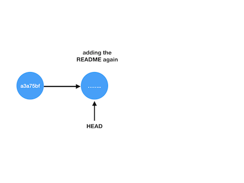 what the remote branch looks like